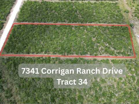 7341 Corrigan Ranch Drive- Tract 34, Skidmore, TX 78389