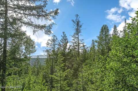 245 Barbary, Sandpoint, ID 83864