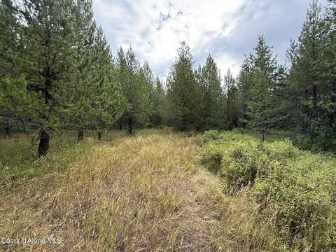170 Buckeye Ln, Saint Maries, ID 83861