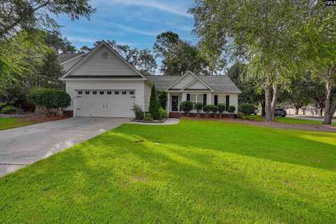 300 Tisbury Court, Lexington, SC 29072