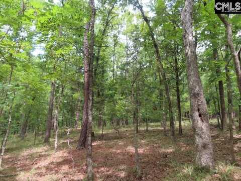 0 321 Highway S, Winnsboro, SC 29180