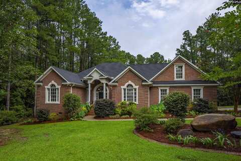208 Rocky Meadow Court, Gilbert, SC 29054