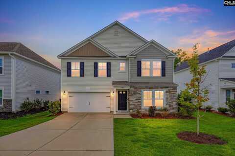 934 Native Rye Way, Lexington, SC 29073