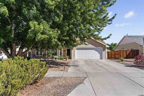 505 E 20th Street, Delta, CO 81416