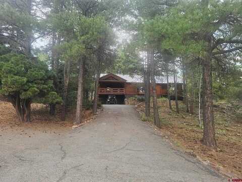49 Sandstone Court, Pagosa Springs, CO 81147