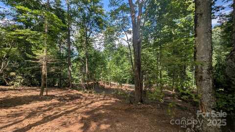Chestnut Walk Drive unit: 32, Waynesville, NC 28786