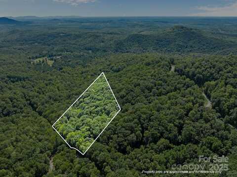 Peartree Drive unit: 487, Lake Lure, NC 28746