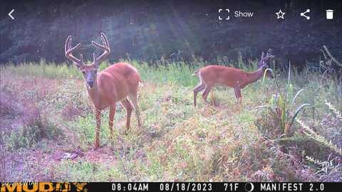 214 Arthur Byrd Road, Pocahontas, TN 38061