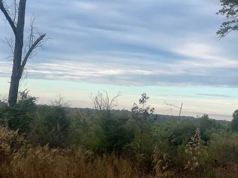 97 +/- Us Hwy 82, Georgetown, GA 39854