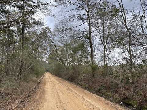 Tract#6201 Doyle Morgan Road, DeFuniak Springs, FL 32433