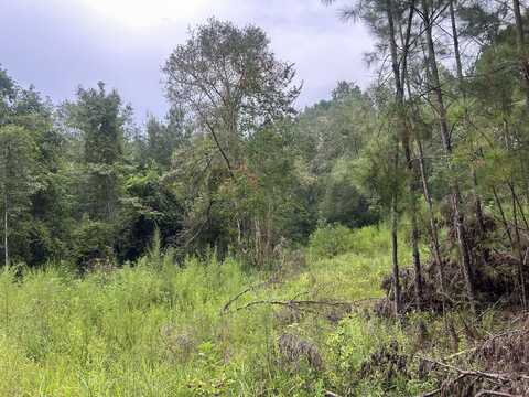 1558 John Eddy Lane, Ponce De Leon, FL 32455