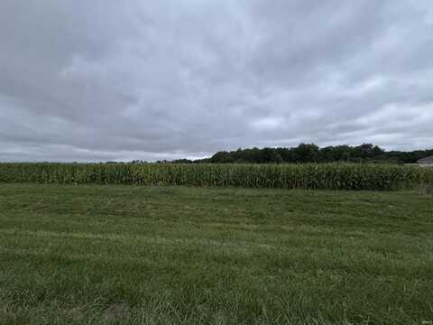 Tract 13 County Road 26 Road, Goshen, IN 46528