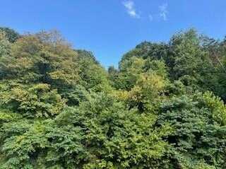 000 Caney Ck, Pikeville, KY 41501