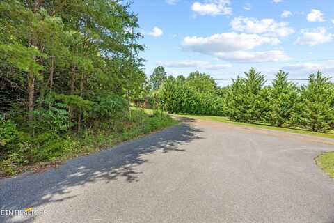 Lot 4 Peachie Way, Cosby, TN 37722