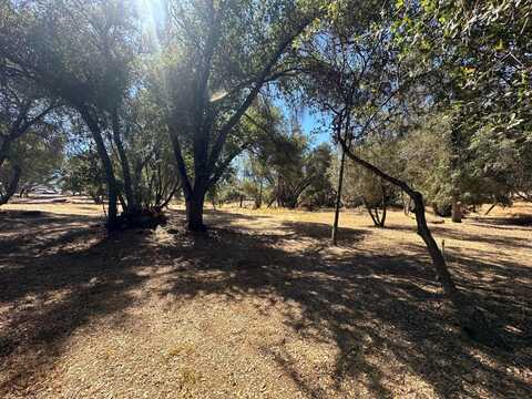 120 lot Road, Coarsegold, CA 93614