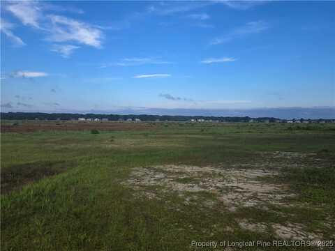 1120 Cattail Court, Vass, NC 28394