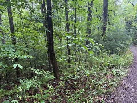 Lot 14 Cedar Hill Road, Franklin, NC 28734