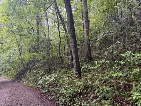 Lot 19 Cedar Hill Road, Franklin, NC 28734
