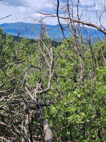 5 SPEIS Road, Tijeras, NM 87059