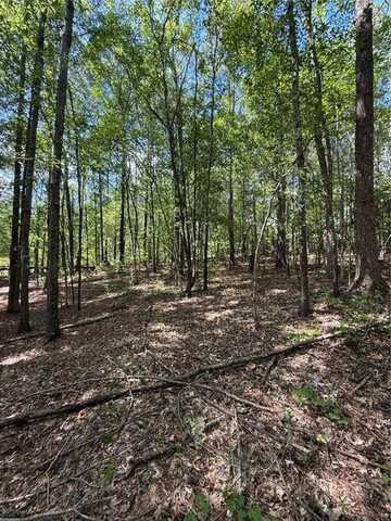 0 Manning Gin Road, Monroe, GA 30656