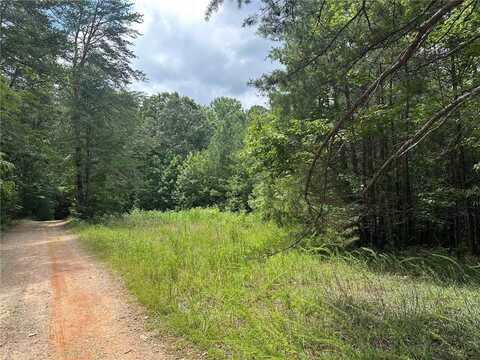 7-/+ Charlie Lemley Road, Dawsonville, GA 30534
