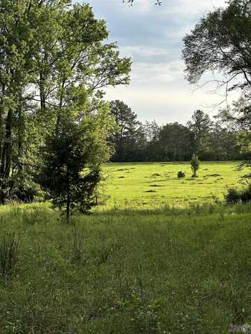10326 Hamilton Willis Rd, Saint Francisville, LA 70775