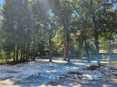 209 Octavia Street, Dauphin Island, AL 36528