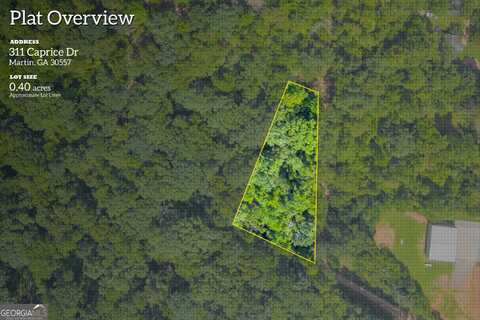 311 Caprice, Martin, GA 30557