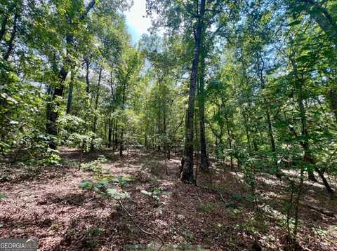 329 Hardwood Hollow, Sandersville, GA 31082