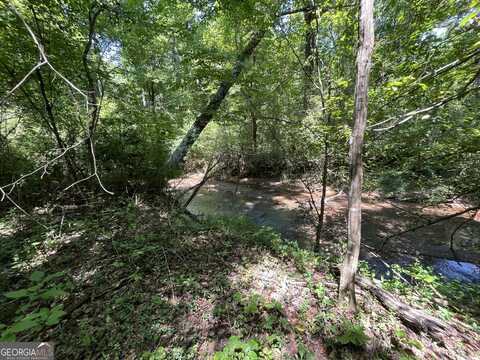 1072 Minardi, Hogansville, GA 30230