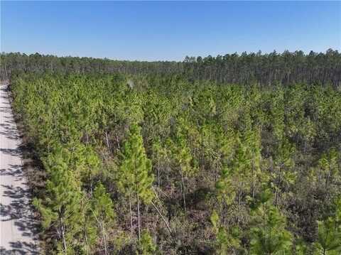 0 Tract 6 Hwy 341 & Bennett Mill Road, Odum, GA 31555