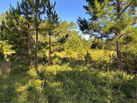0 Horseshoe Cove, Waverly, GA 31565