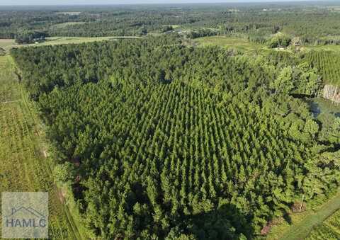 0 Oglethorpe Road, Jesup, GA 31545
