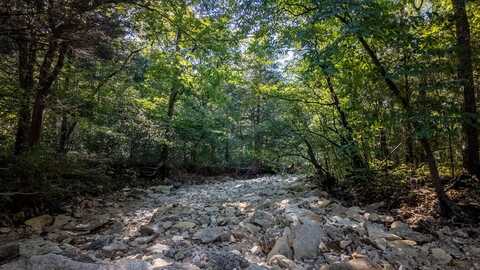 000 Calhan Circle, Clarkridge, AR 72623