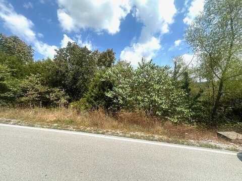 124 Beechwood Drive, Branson West, MO 65737