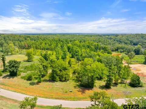 TBD County Road 2123, Whitehouse, TX 75791