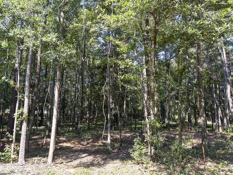 5 Acres Ray St., Prentiss, MS 39474