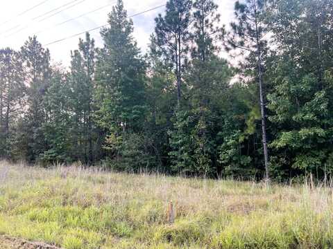 #4 Lawler Rd., Lumberton, MS 39455