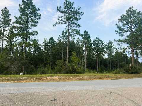 #2 Lawler Rd., Lumberton, MS 39455