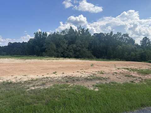 109 Doc Gore Rd., Sumrall, MS 39482