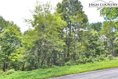Tbd Holiday Lane, Whitetop, VA 24292