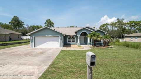 10295 Dotted Wren Avenue, Weeki Wachee, FL 34613