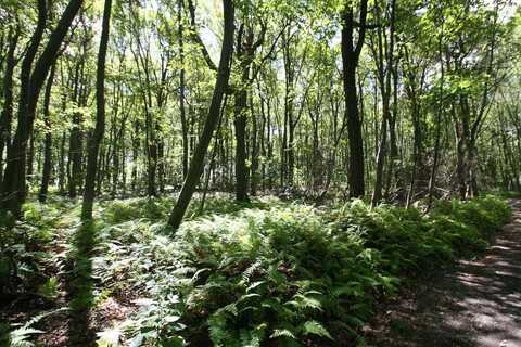 000 Leidig Road, Three Springs, PA 17264