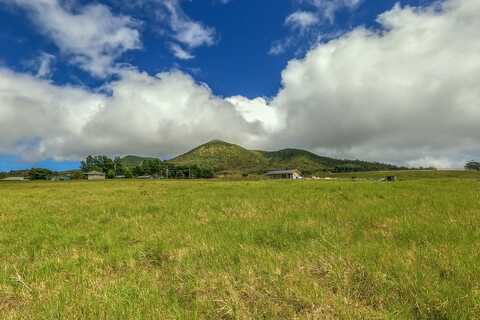 64-5310 WHITE RD, Kamuela, HI 96743