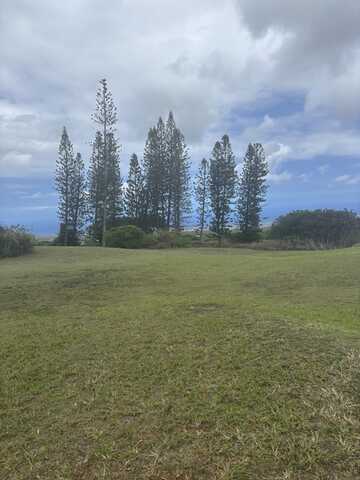 HAEHAE ST, Naalehu, HI 96772