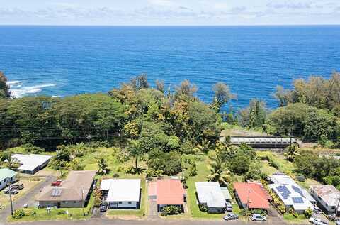 28-1127 PUA ST, Honomu, HI 96728
