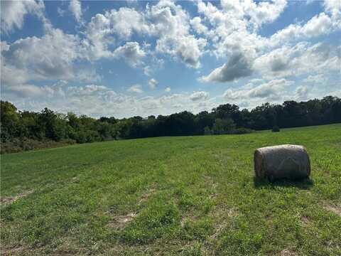Lot 13 Whitetail Road, Polo, MO 64671
