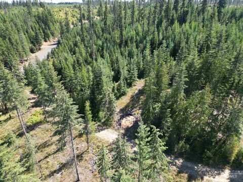 Tbd Parcel #2 Johnston Mill Road, Orofino, ID 83544