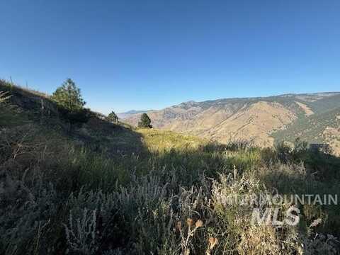 144 Chuckar Run, Pollock, ID 83547