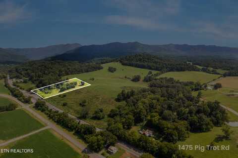 Lot 4 Pig Trot Rd, Newport, TN 37821